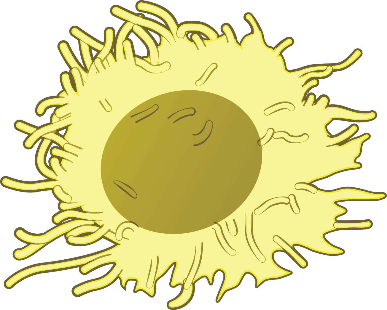 Ilustração anatômica: Célula natural killer (Killer Cells, Natural)