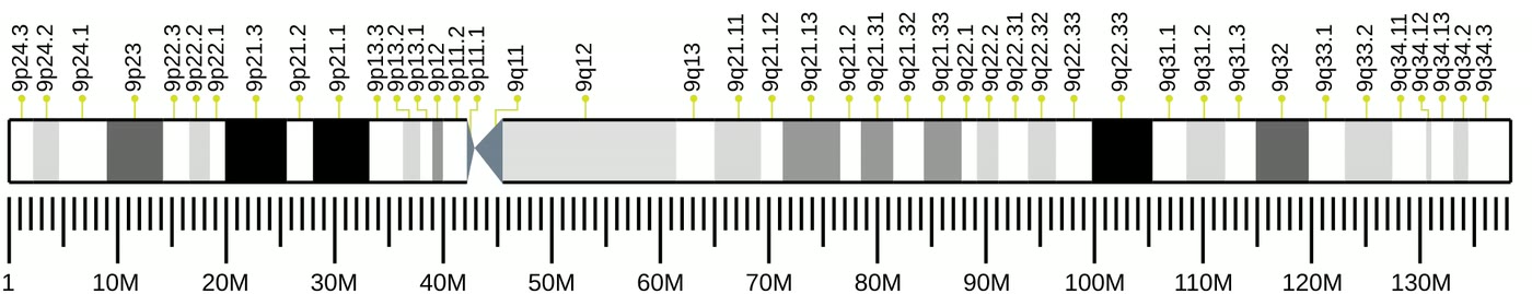 Ilustração anatômica: Cromossomo 9 (Chromosomes, Human, Pair 9)