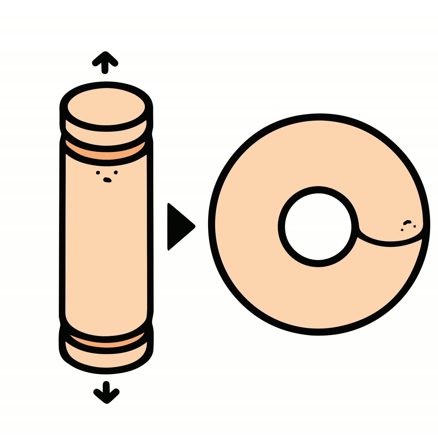 Ilustração anatômica: Cromossomo em anel (Ring Chromosomes)