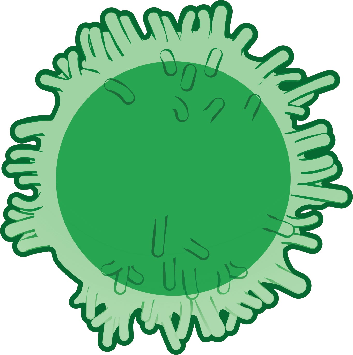 Ilustração anatômica: Linfócito B (B-Lymphocytes)