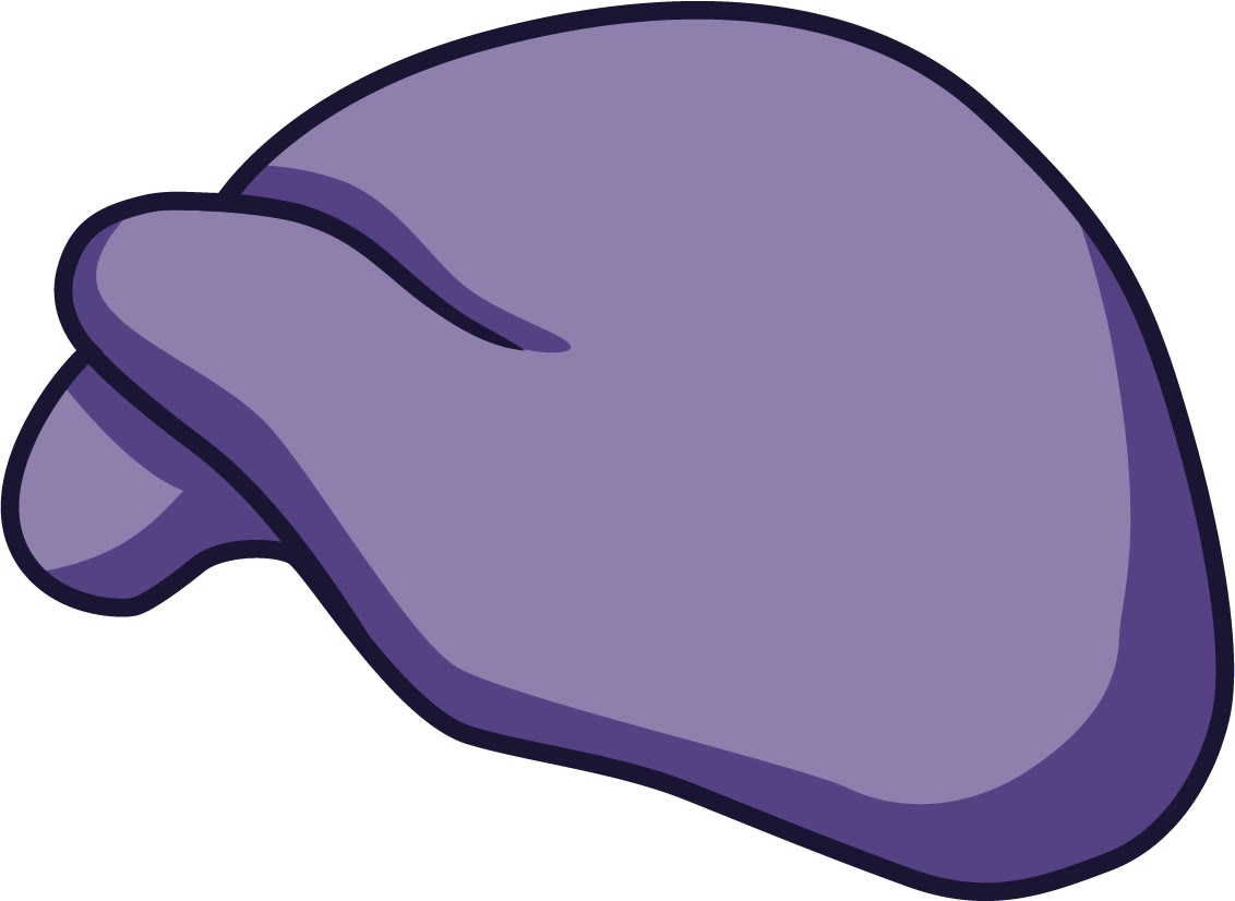 Ilustração anatômica: Subunidade ribossômica maior eucariótica (Ribosome Subunits, Large, Eukaryotic)